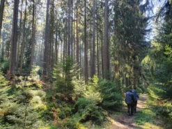 FJÄLLRÄVEN Kajka 75 - Trekkingrucksack -Deuter Verkaufs-Shop fjaellraeven kajka 75 trekkingrucksack 1c507515565e368a5f36dee585efcd24 1