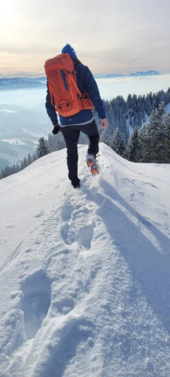 Ortovox Peak 35 - Tourenrucksack -Deuter Verkaufs-Shop ortovox peak 35 tourenrucksack 479eeaaef0ad34f8d4b20e458b7c94a1 1